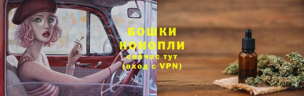 spice Богородицк