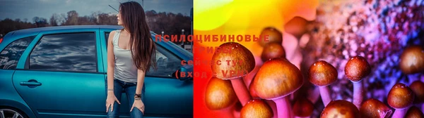 кокаин колумбия Богданович