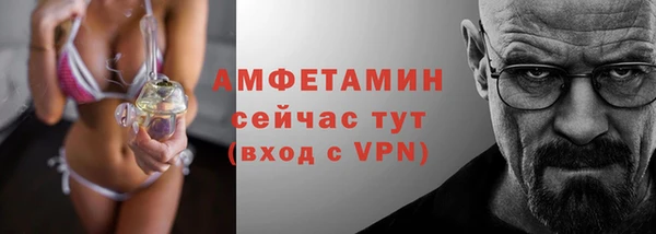spice Богородицк