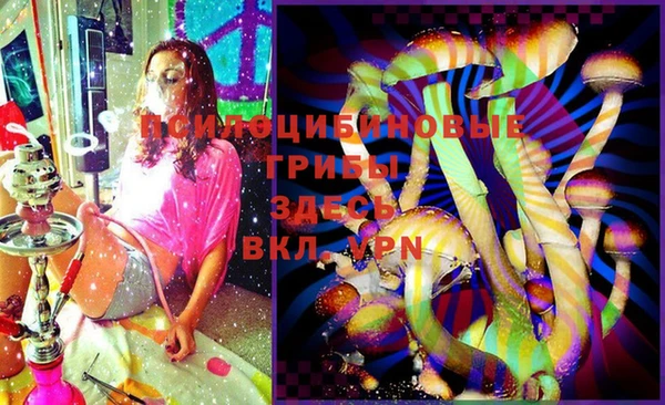 дурь Нея