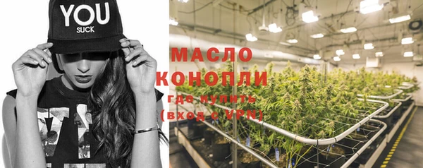spice Богородицк