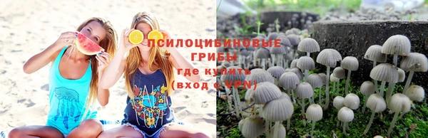 кокаин колумбия Богданович