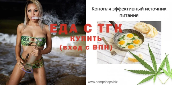 spice Богородицк