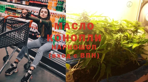 spice Богородицк